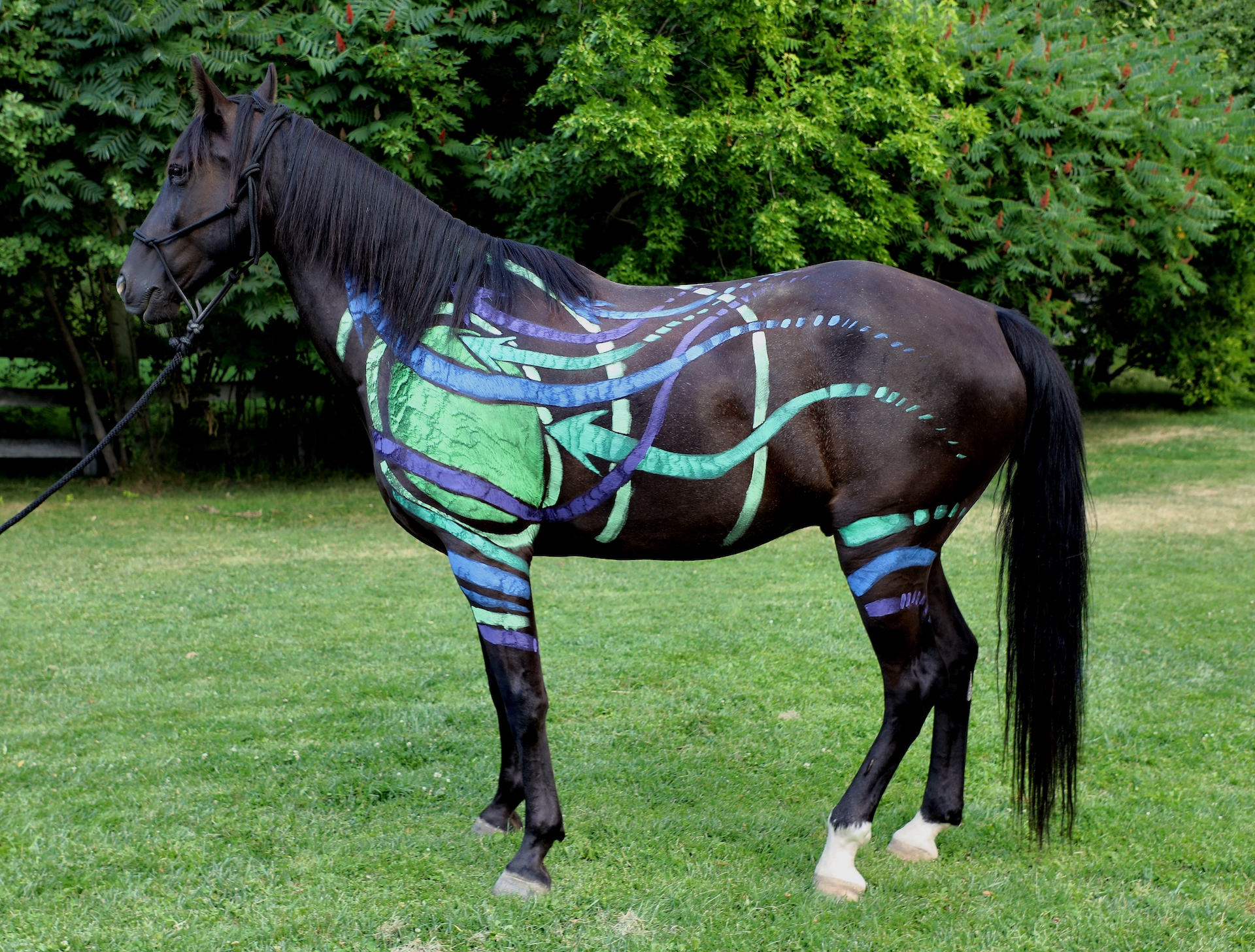 Equine Art Extravaganza - Mystery