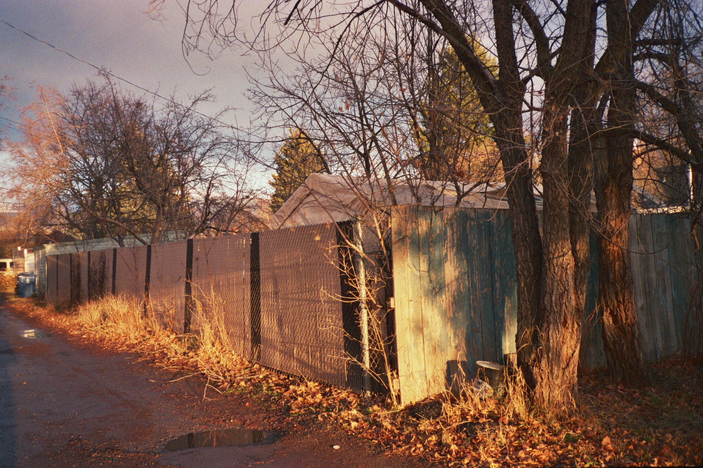 Photograph _00_00359