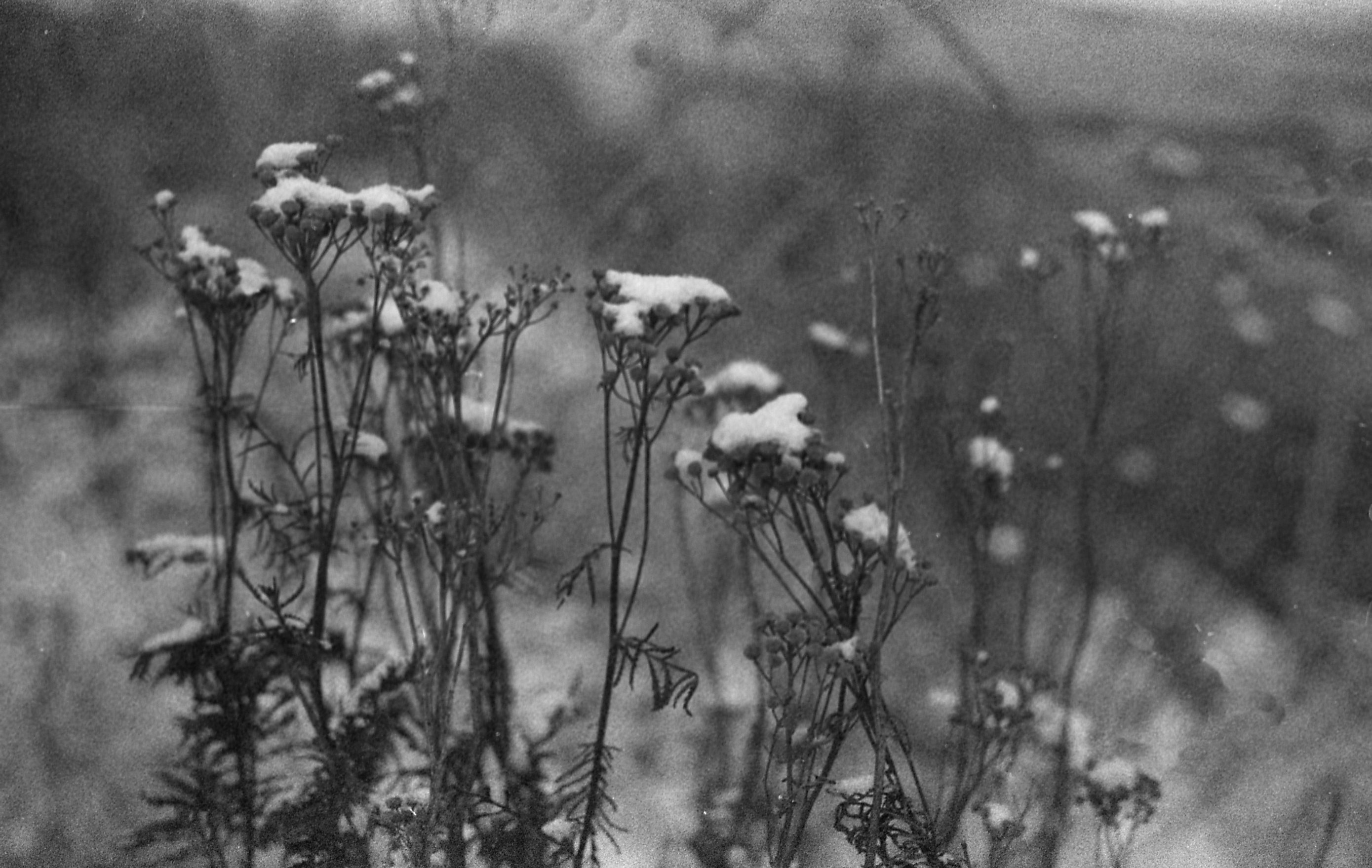 Photograph 24747-013