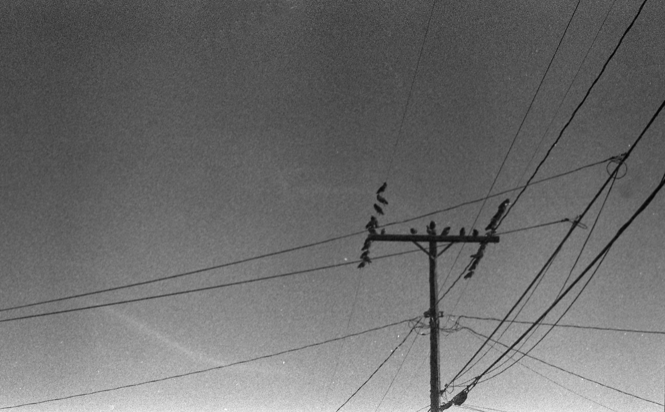 Photograph 24747-021