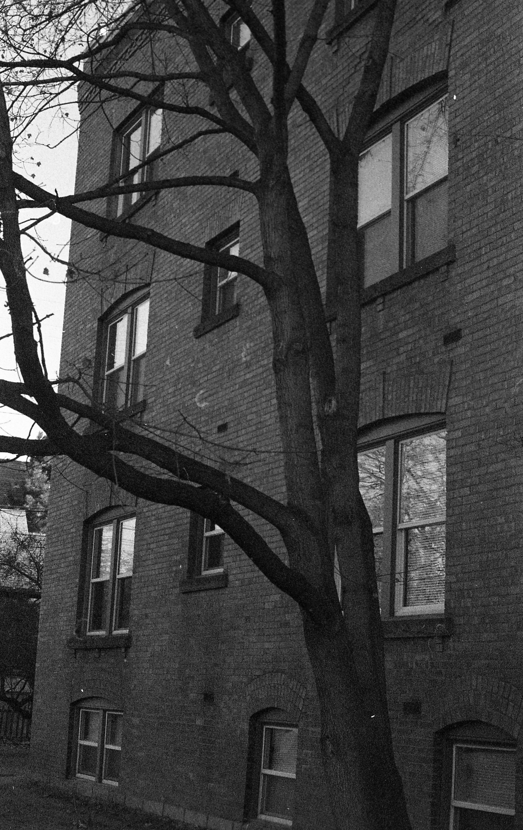 Photograph 24747-022